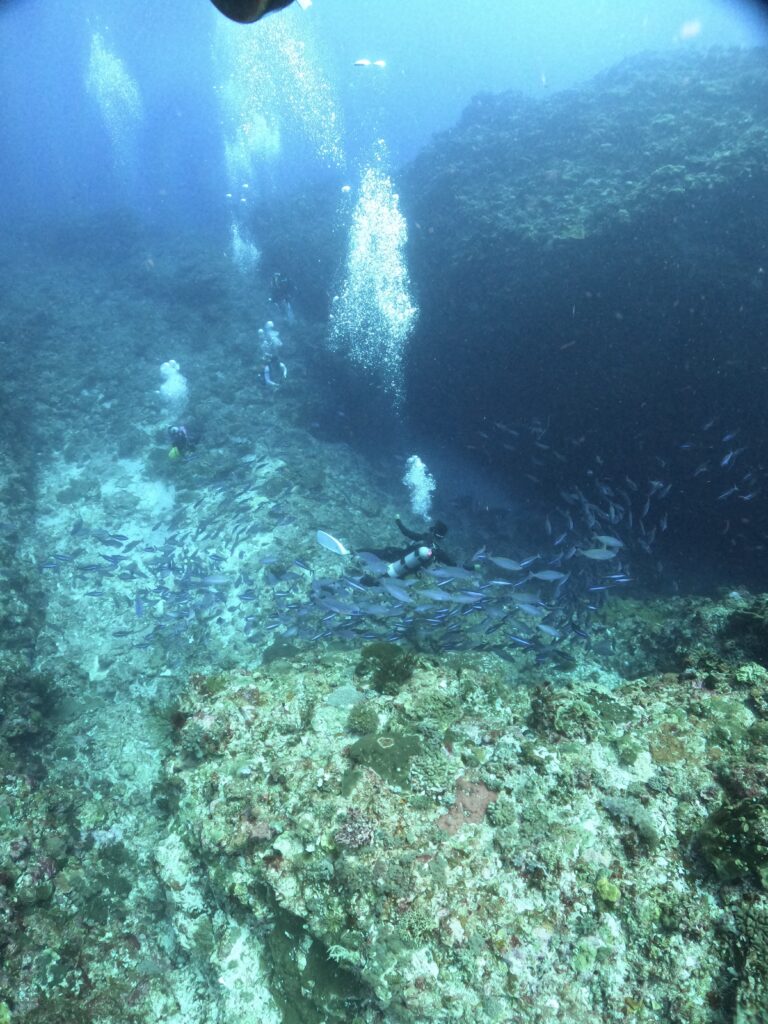 DCIM103GOPROGOPR8203.JPG